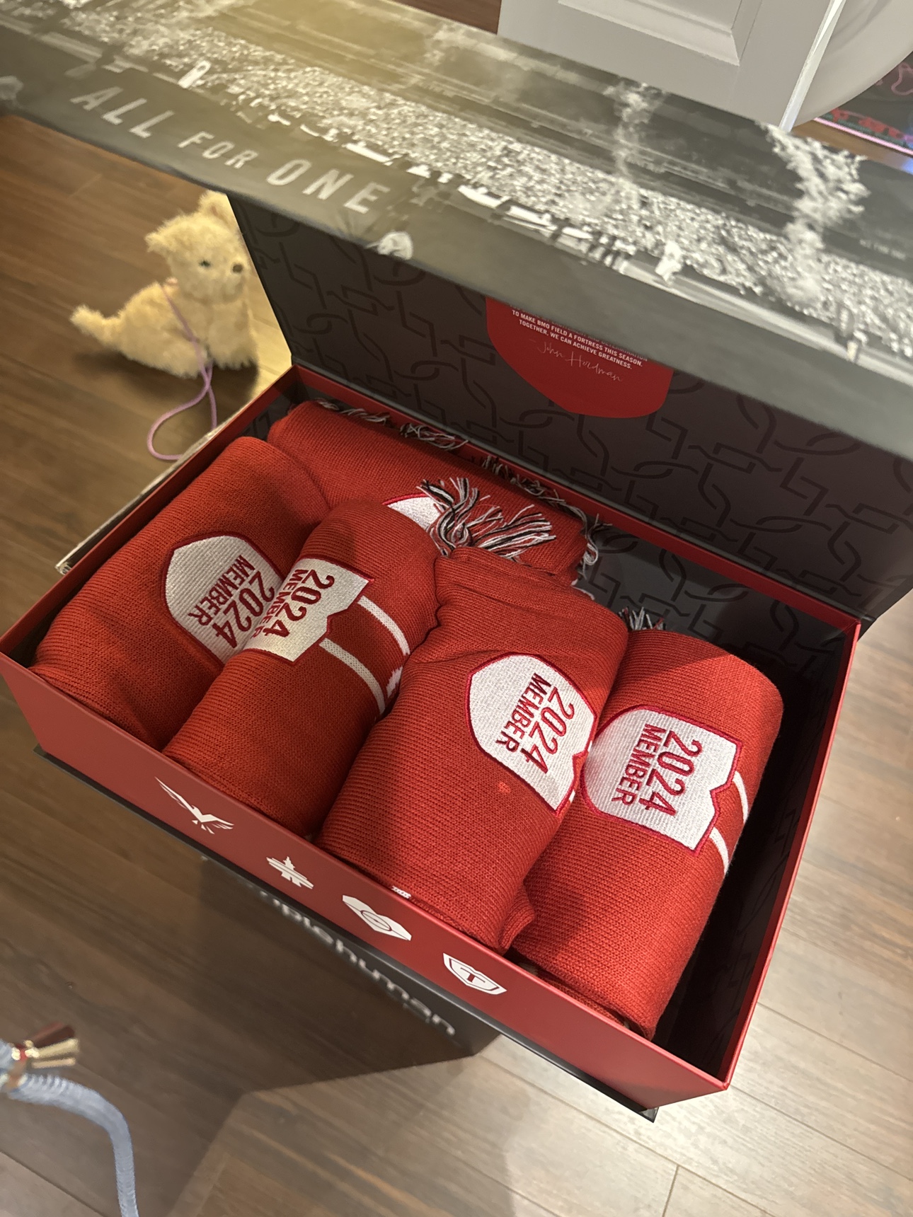 Toronto fc scarfs 2014