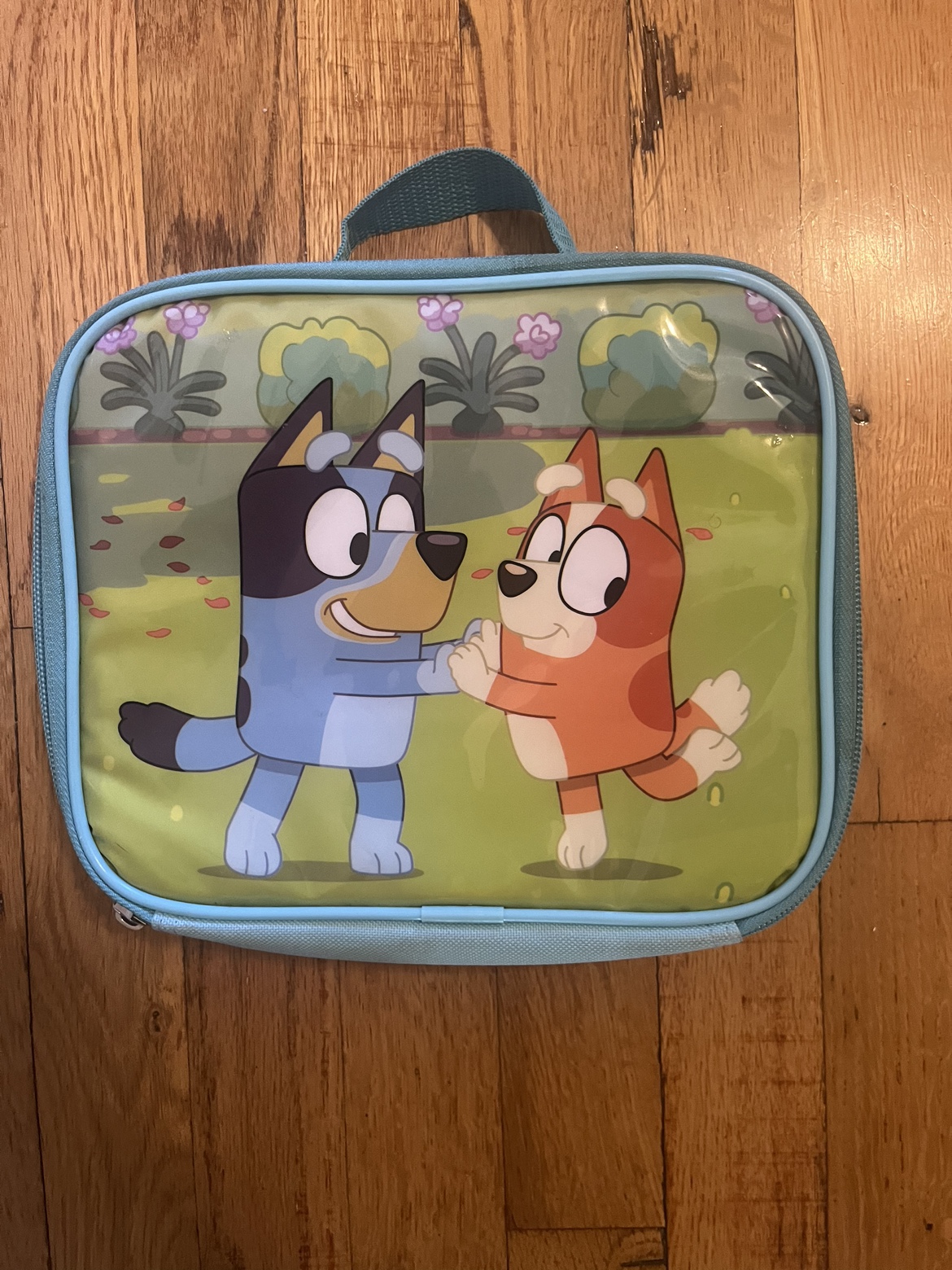 Bluey lunch bag