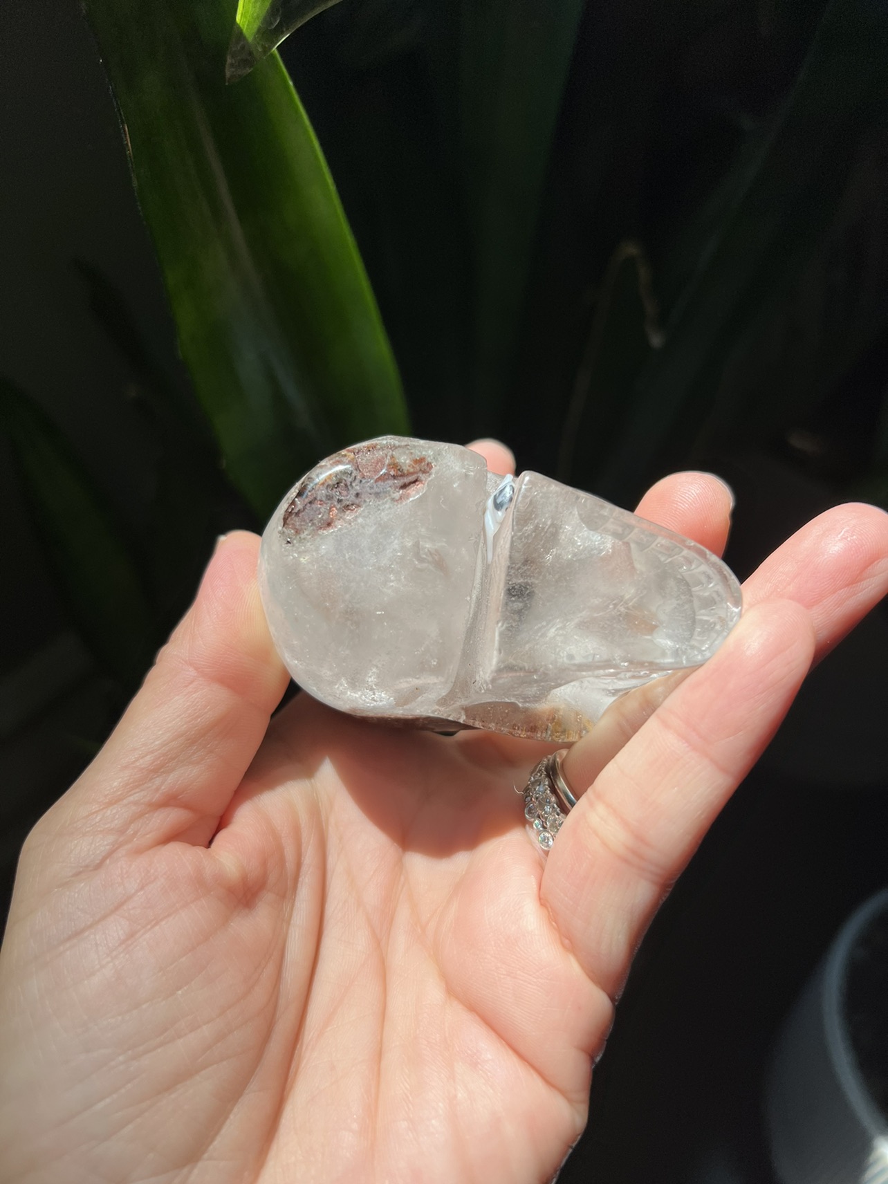Garden quartz skull carving (J) | crystal image indicator(5)