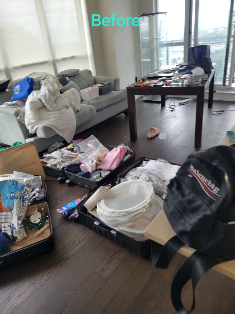 House cleaning - photo 2