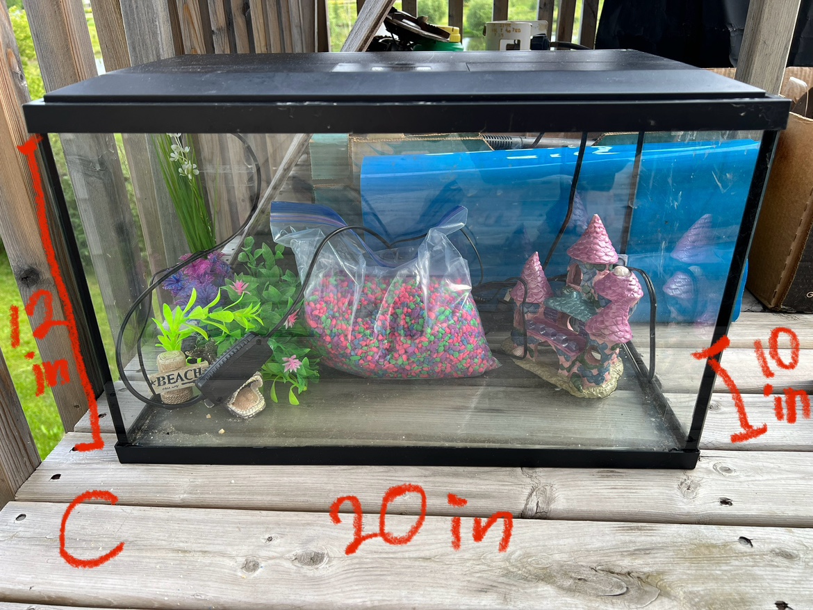 10 gallon aquarium / fish tank set ⚽️