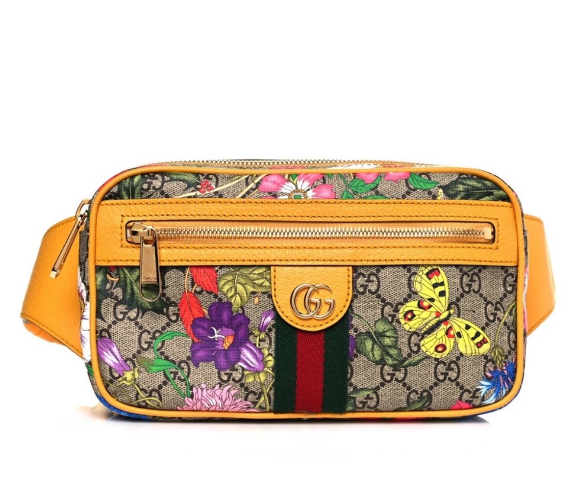 Gucci Belt bag or body bag