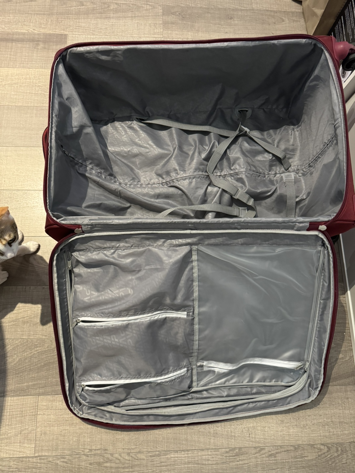 Large luggage (Checked-in baggage) - photo 3