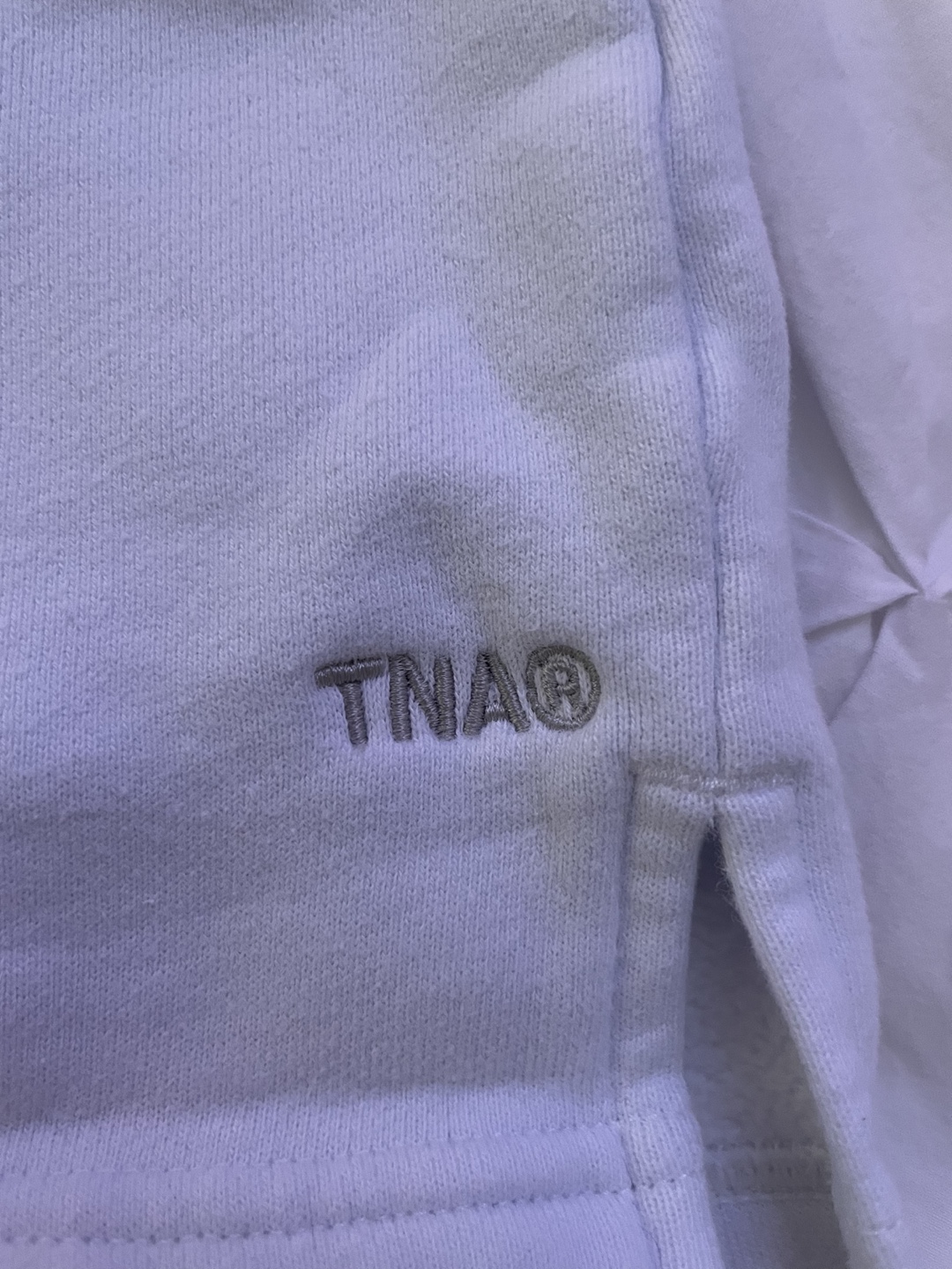 Tna Aritzia Sweatshorts - photo 3