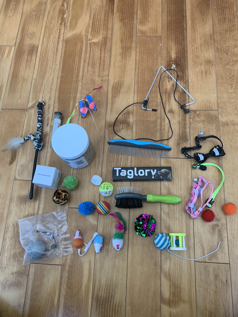 Cat/Kitten  toys