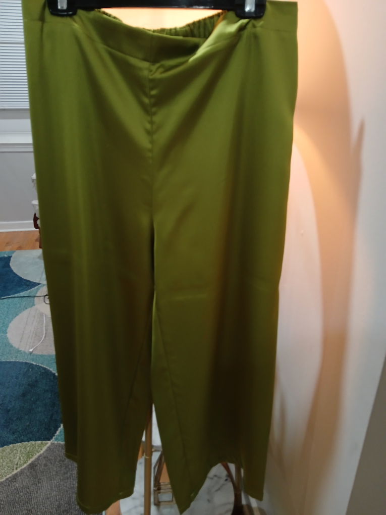 green silk Rachel Zoe Pant set - photo 3
