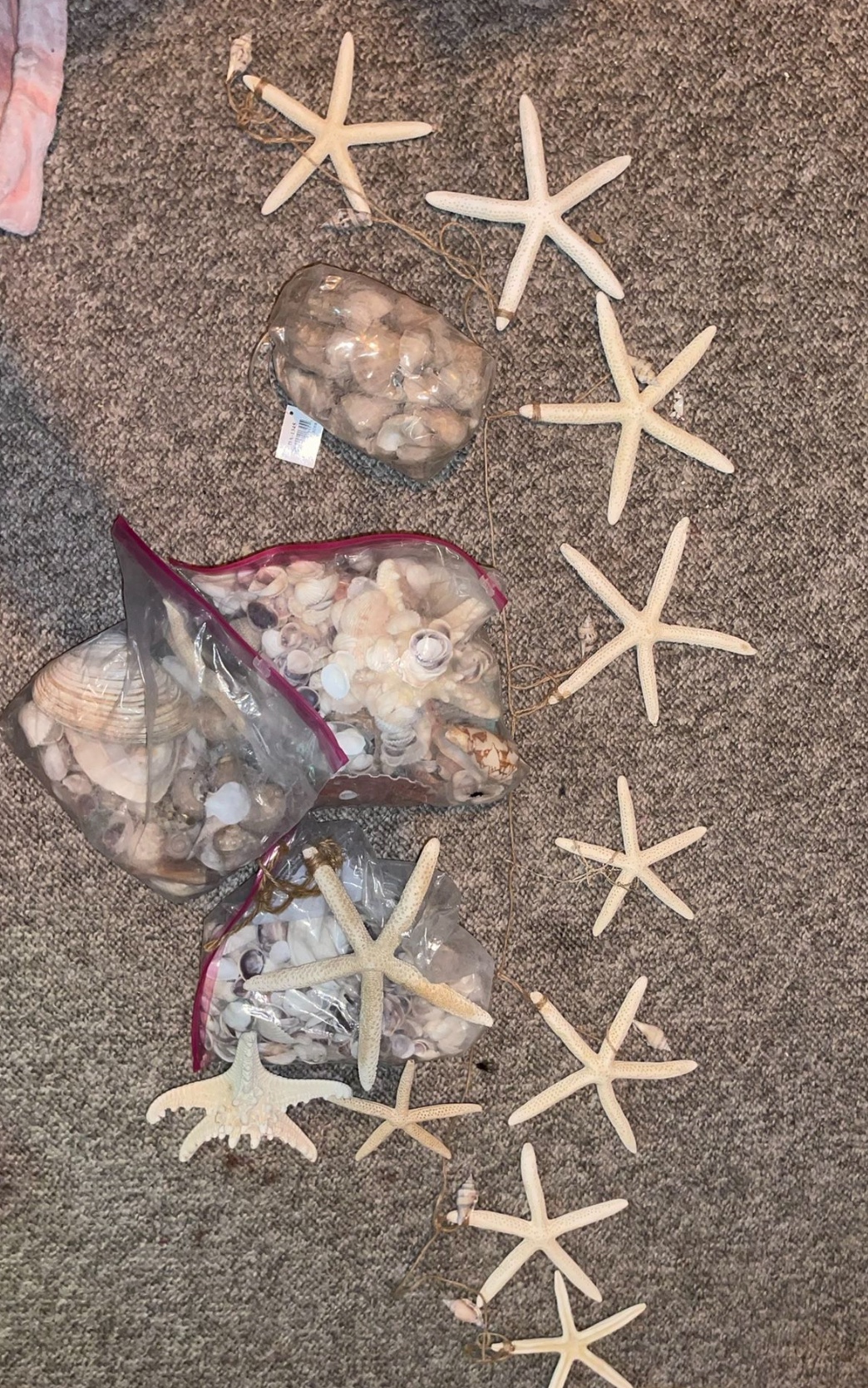 Seashells and Starfish Decoration