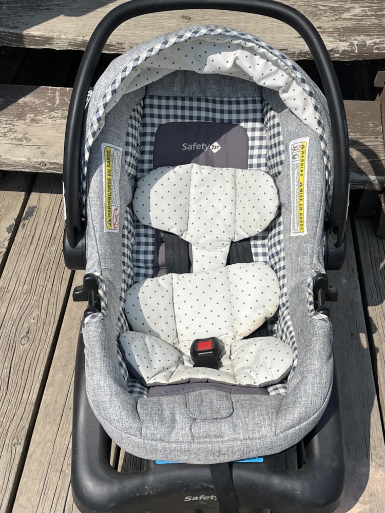 Newborn Stroller and Car Seat