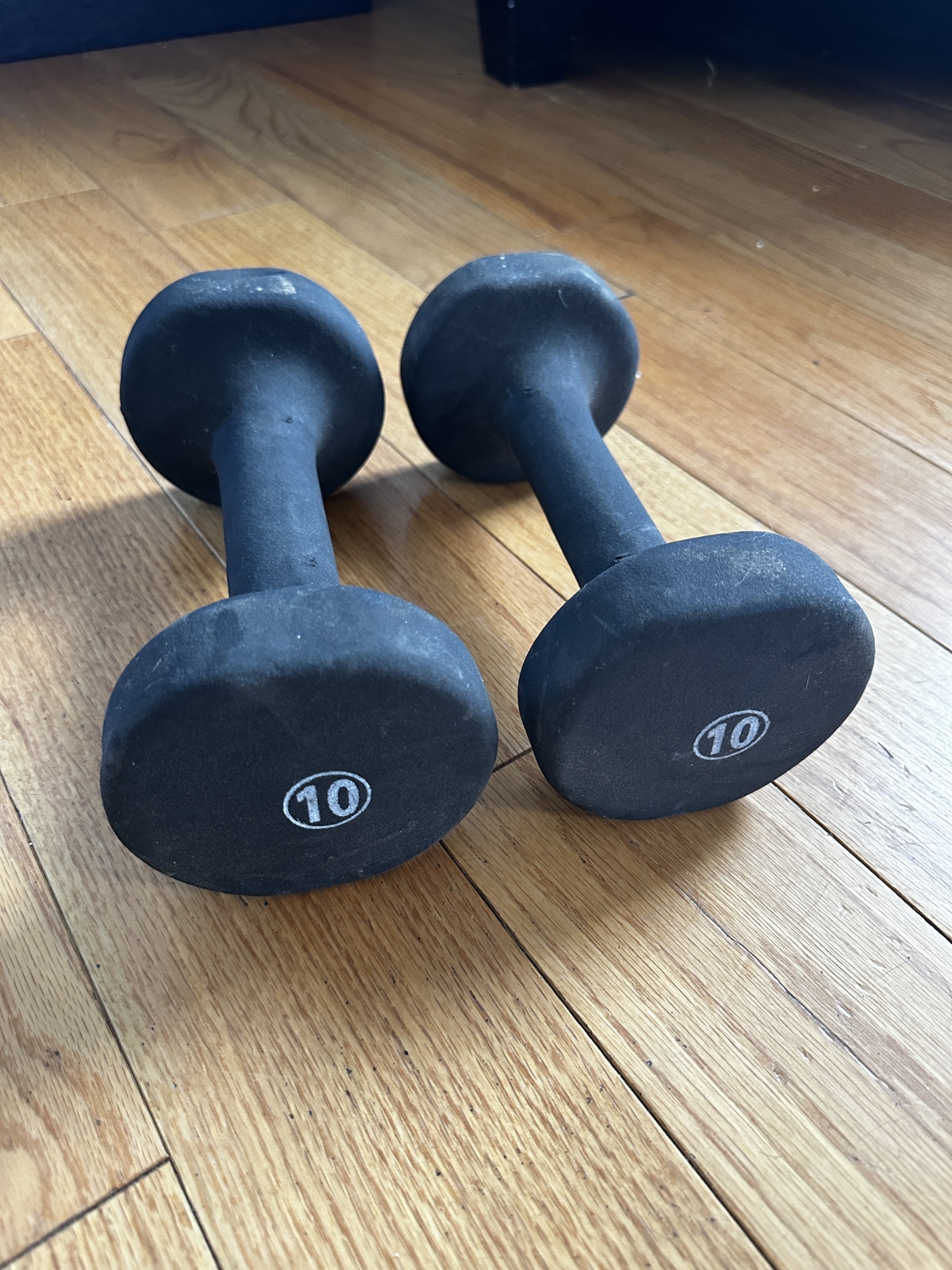 10 lb Dumbbells