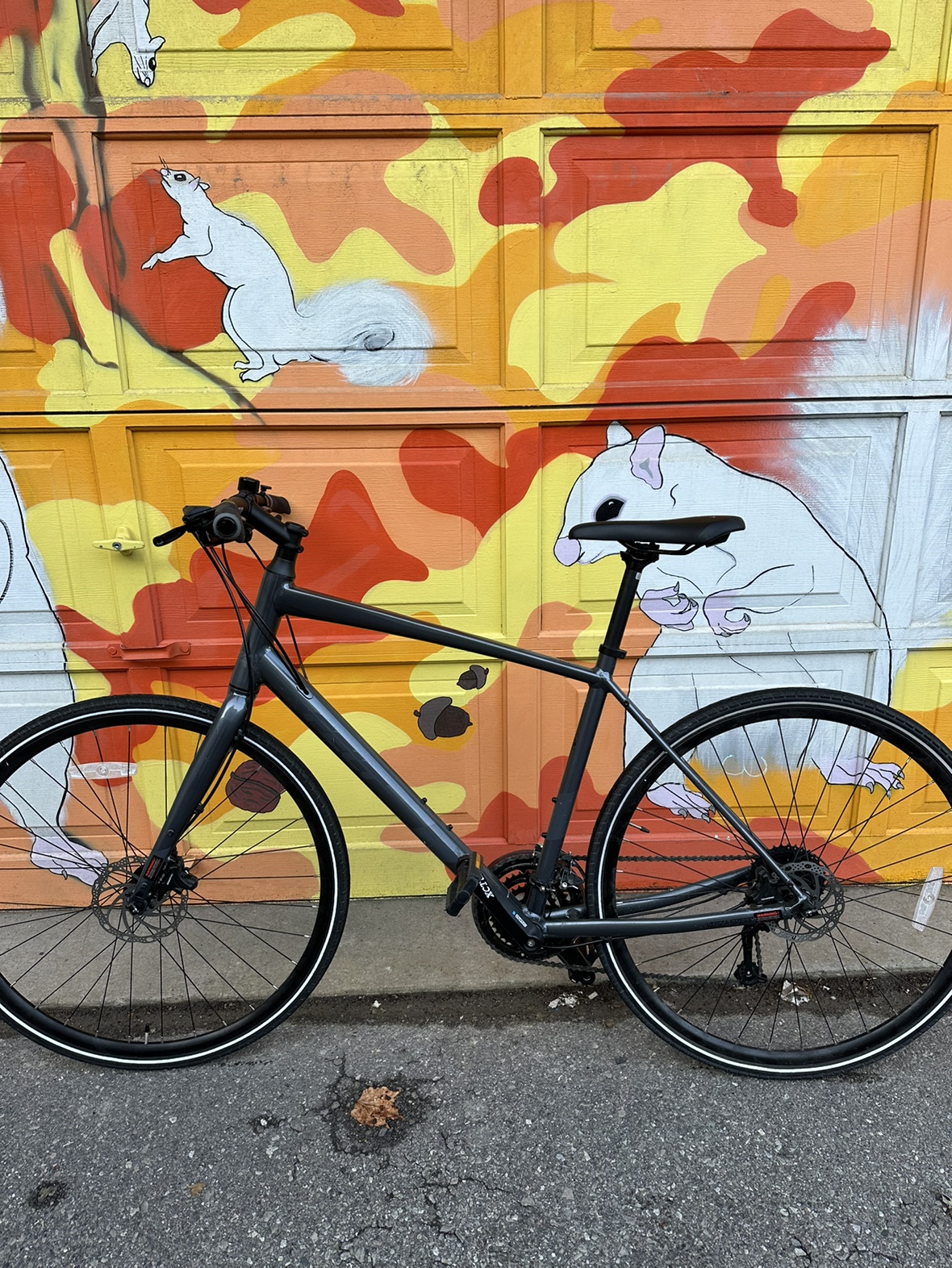 Felt Verza Speed | 56" | ABUS Lock | Fresh Tune