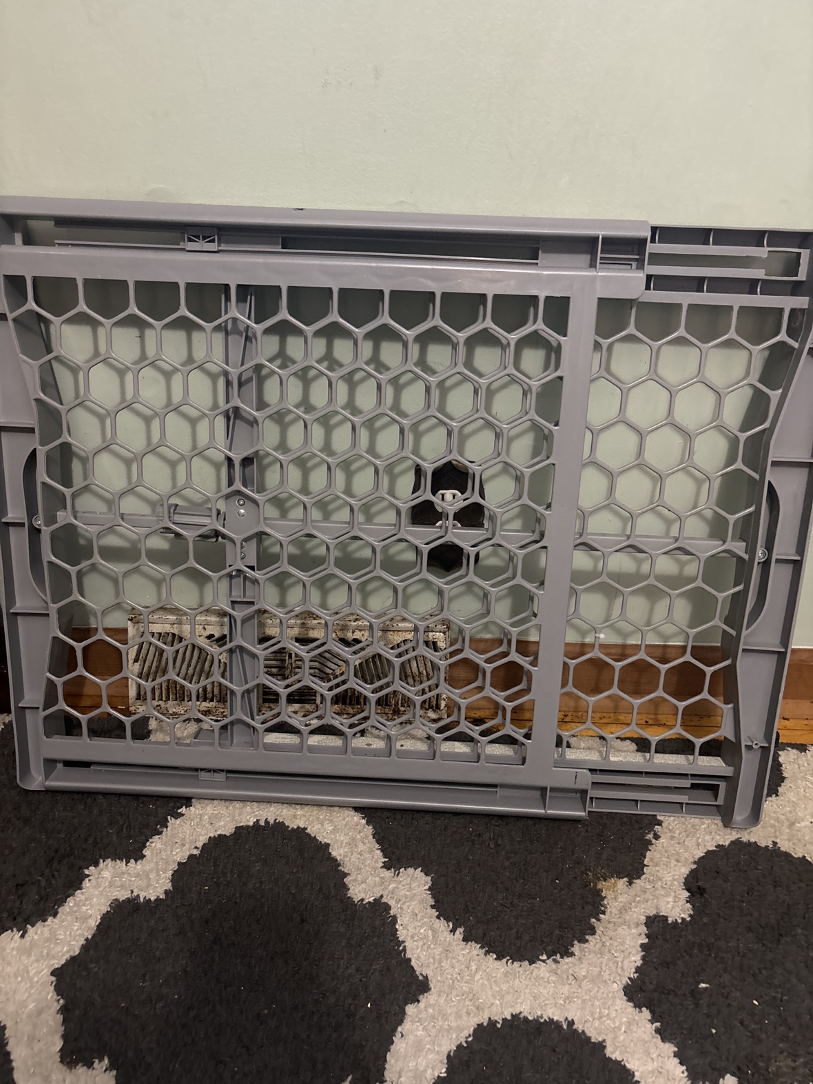Door gate