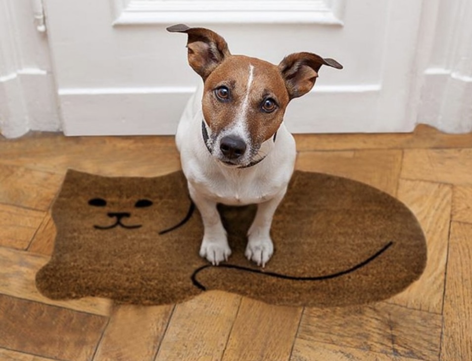 NEW - Cat Doormat - photo 2