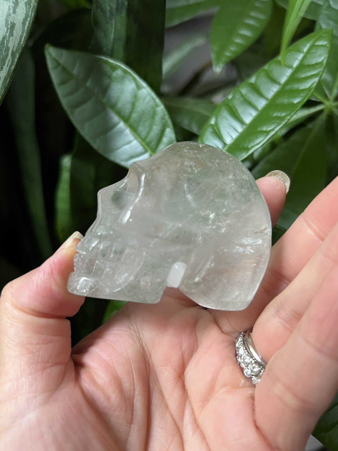 Garden quartz skull carving with minor chip (c) |  crystal - photo 2