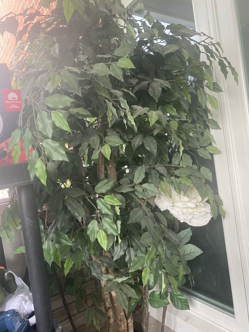 Plastic plant - photo 2