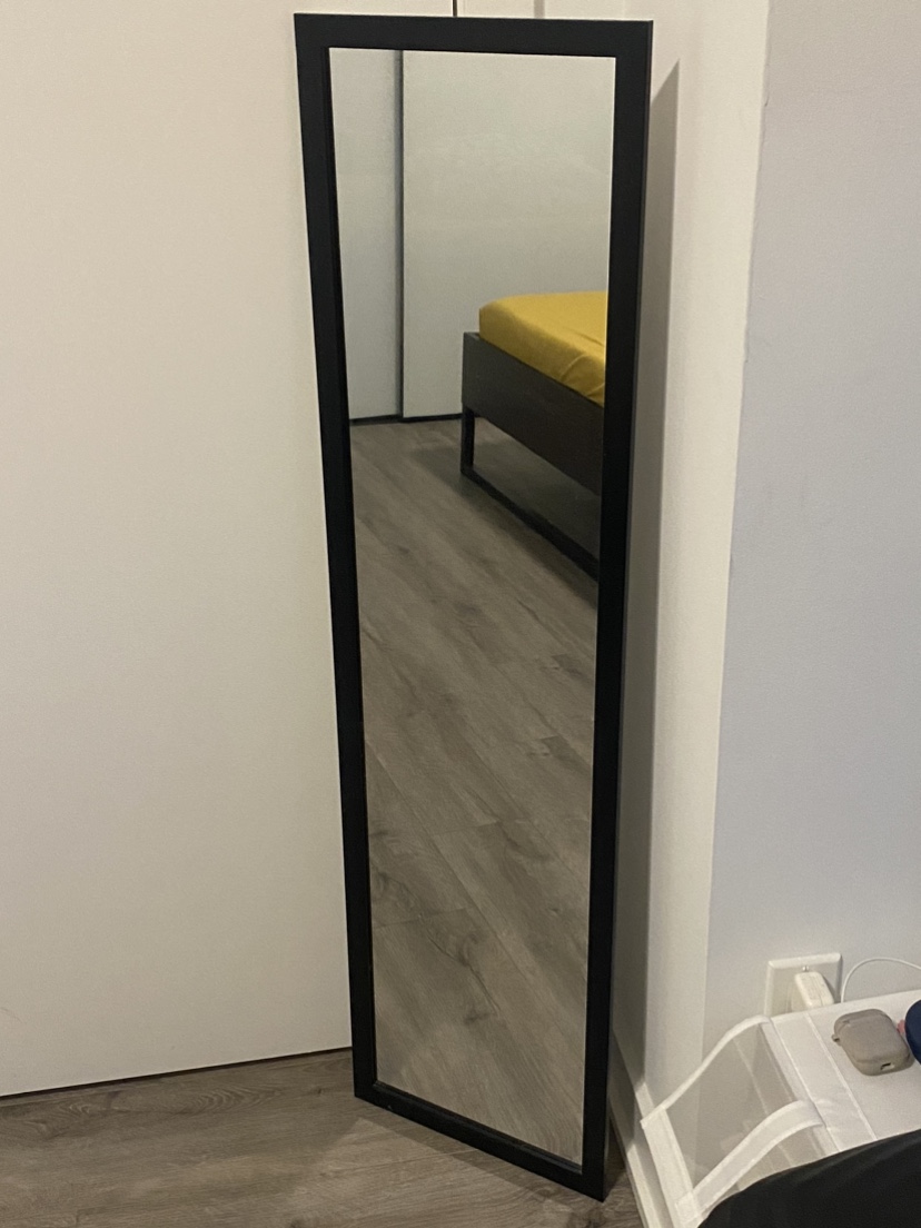 MOVE OUT SALE: Rectangle Full Body Mirror thumbnail