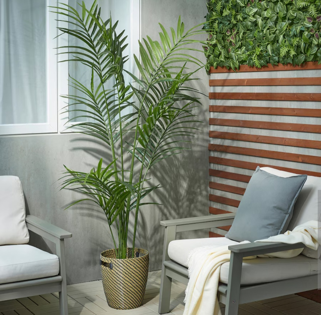 FEJKA Artificial potted plant, indoor/outdoor Kentia palm - photo 5