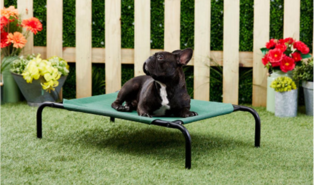 Dog bed (Open box, but NEW)