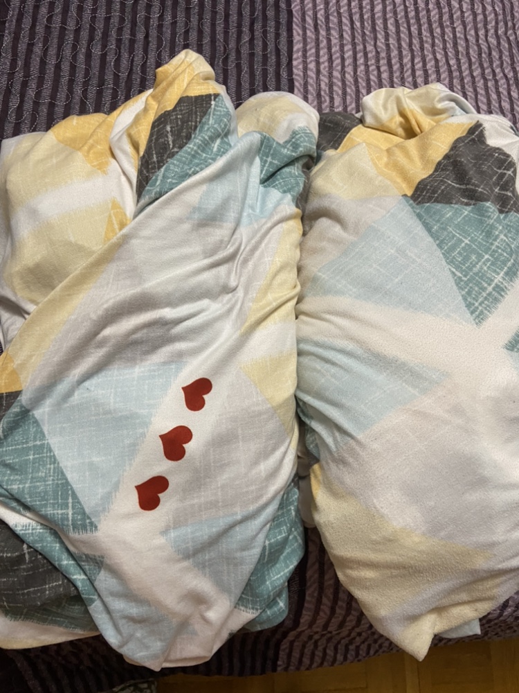 🥕Sofa cover