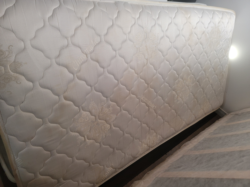 2 twin bed - photo 2