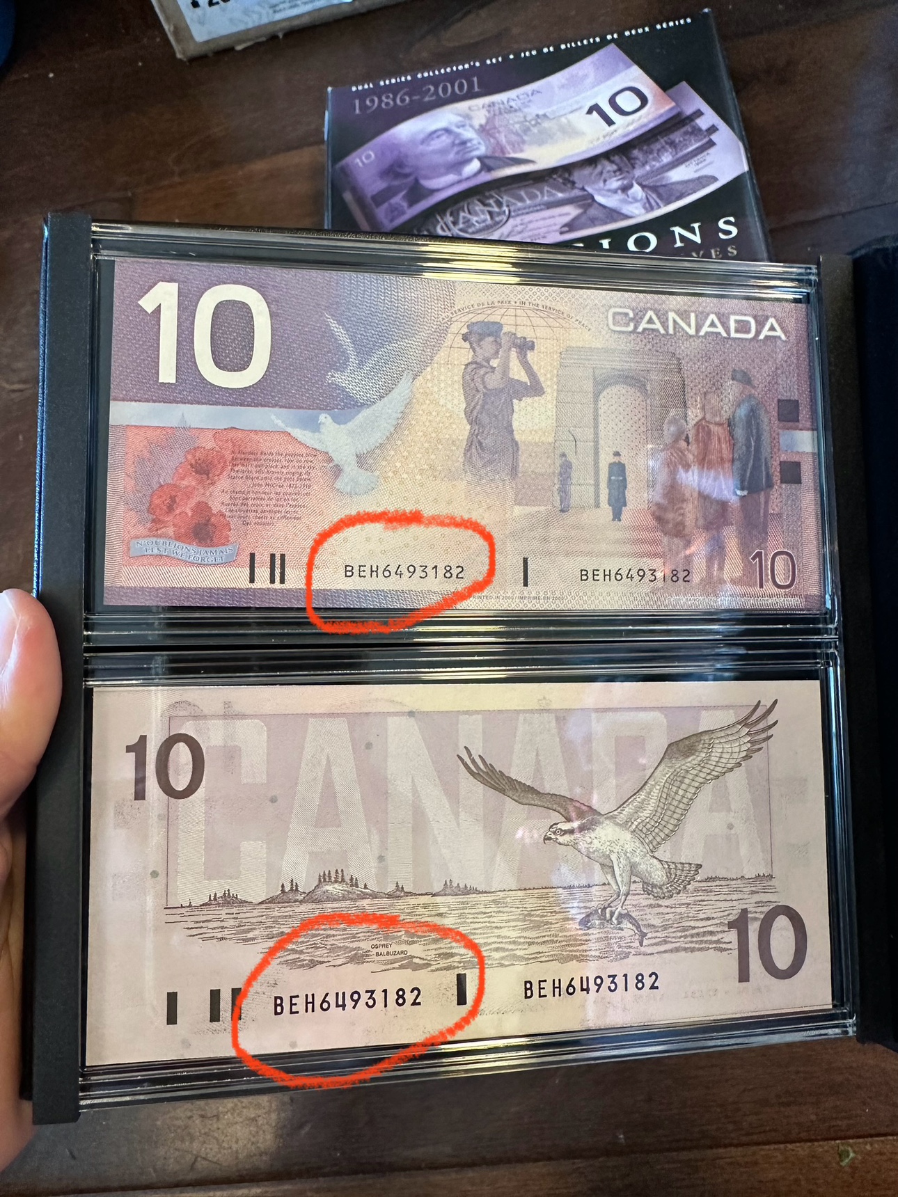 Lasting Impressions Vives image indicator(4)