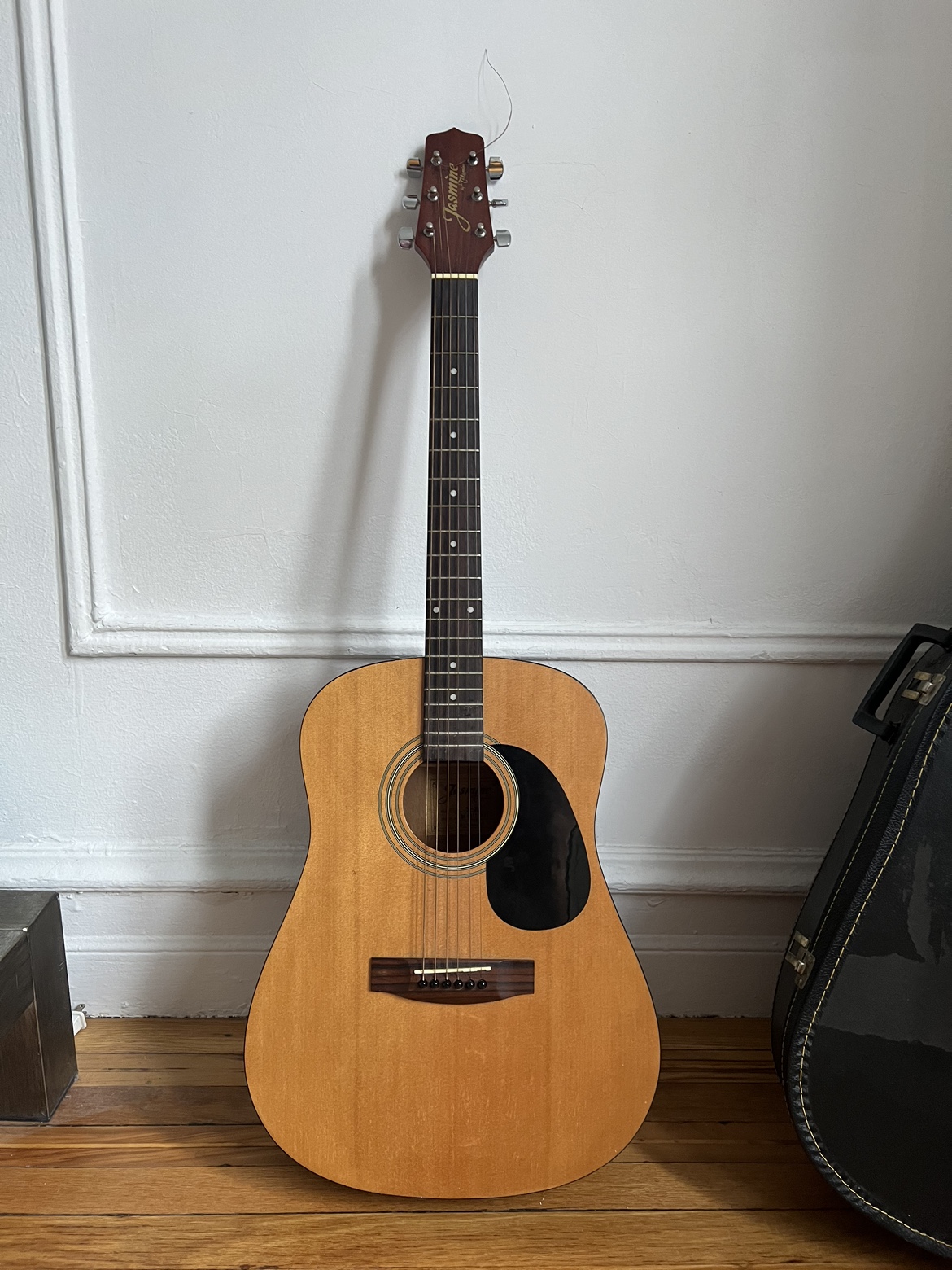 Acoustic Guitar with Case