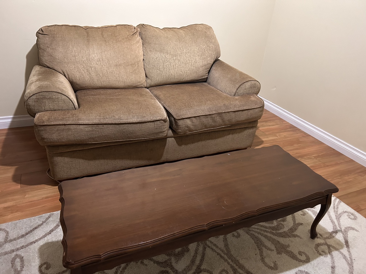 Free. Moving need gone on before Sunday July 28. Or DM me asap