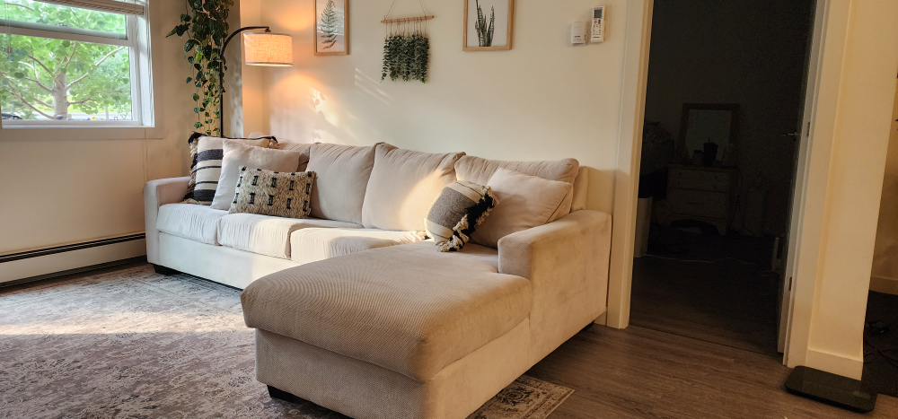 Sectional Sofa Bed