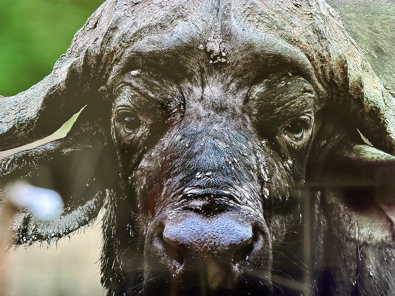 Sony 75X85J 4k HDR 120HZ - photo 3