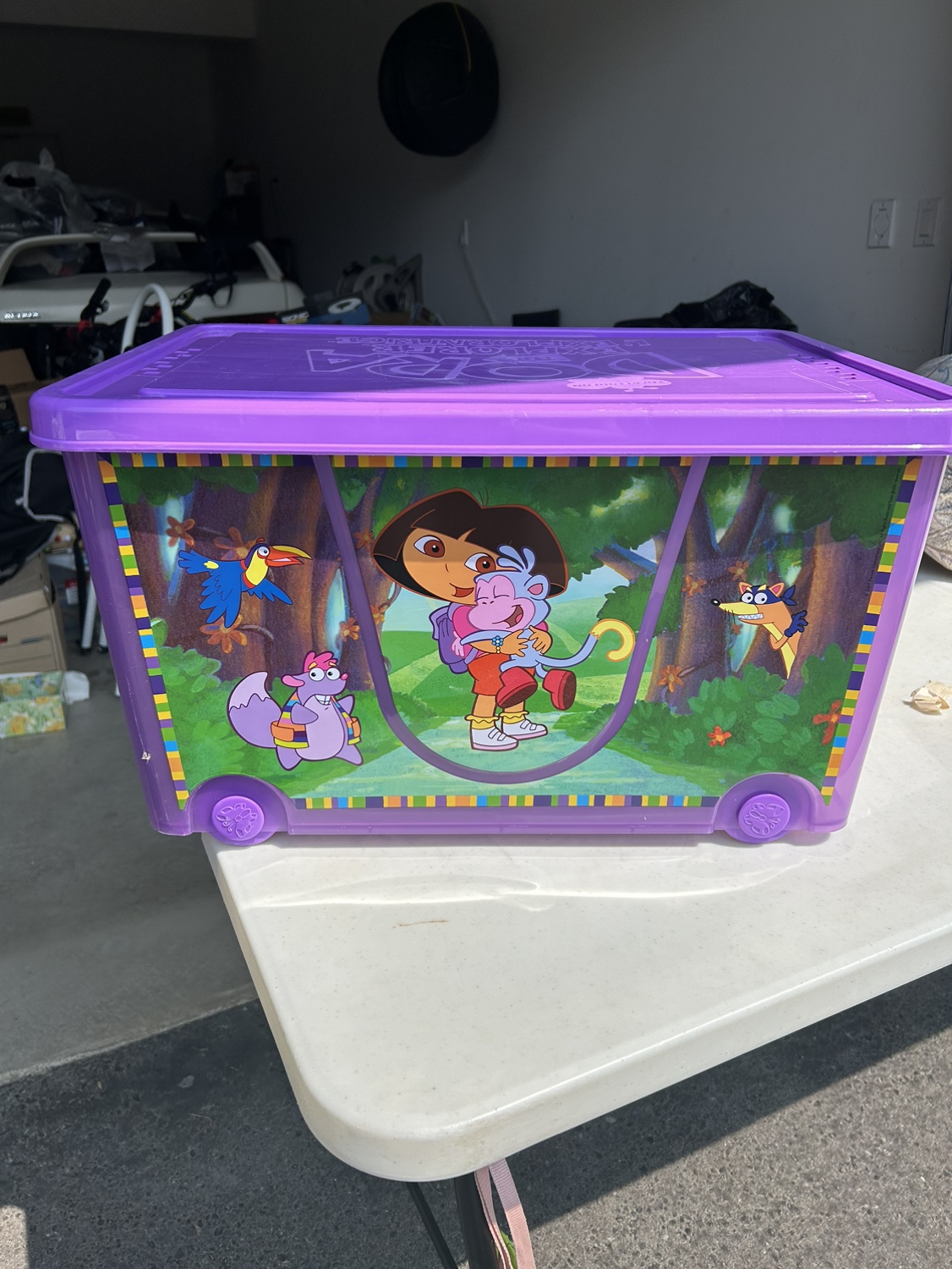 Dora storage bin image indicator(3)