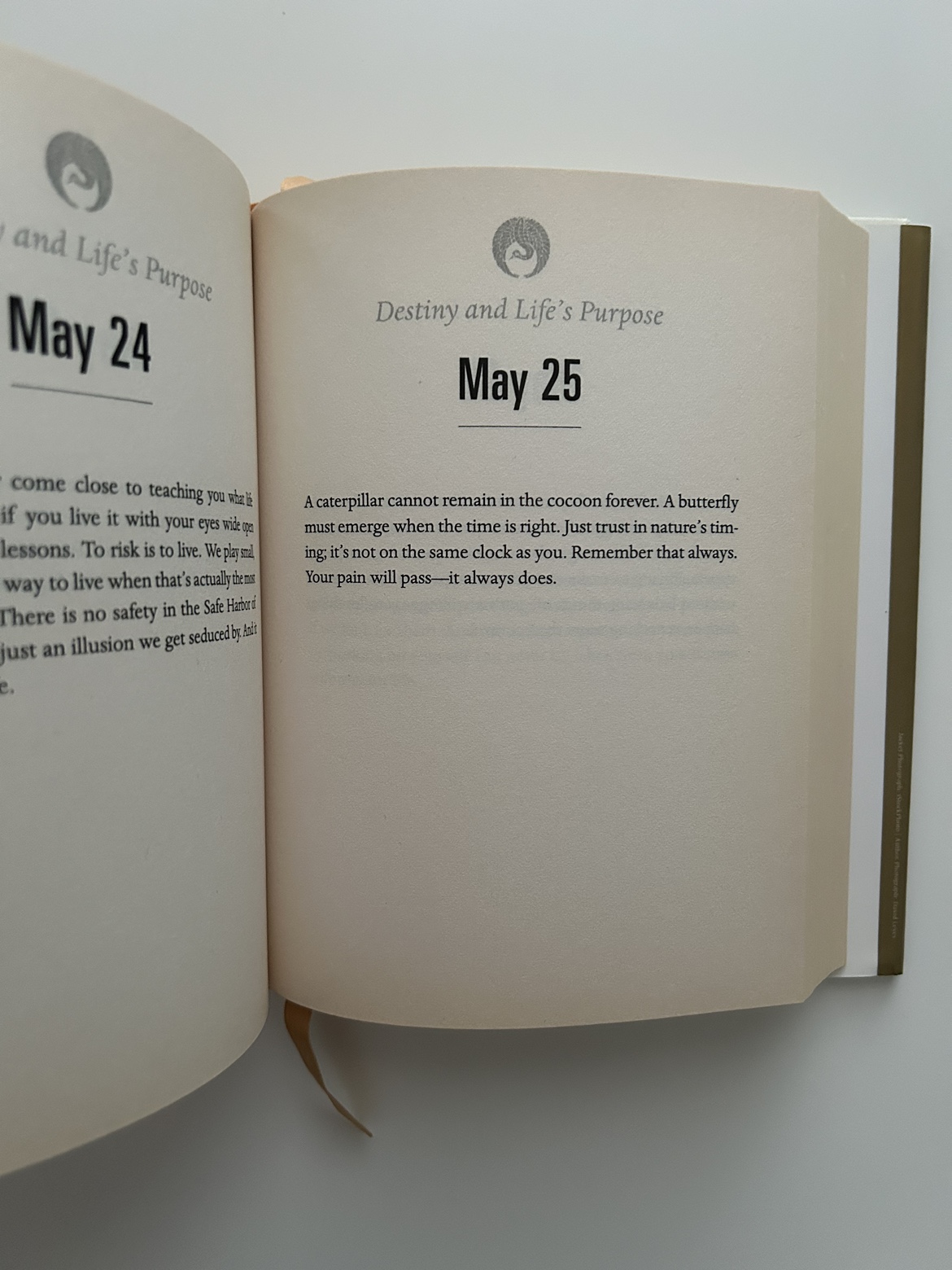 Robin Sharma Daily Inspiration Book image indicator(3)