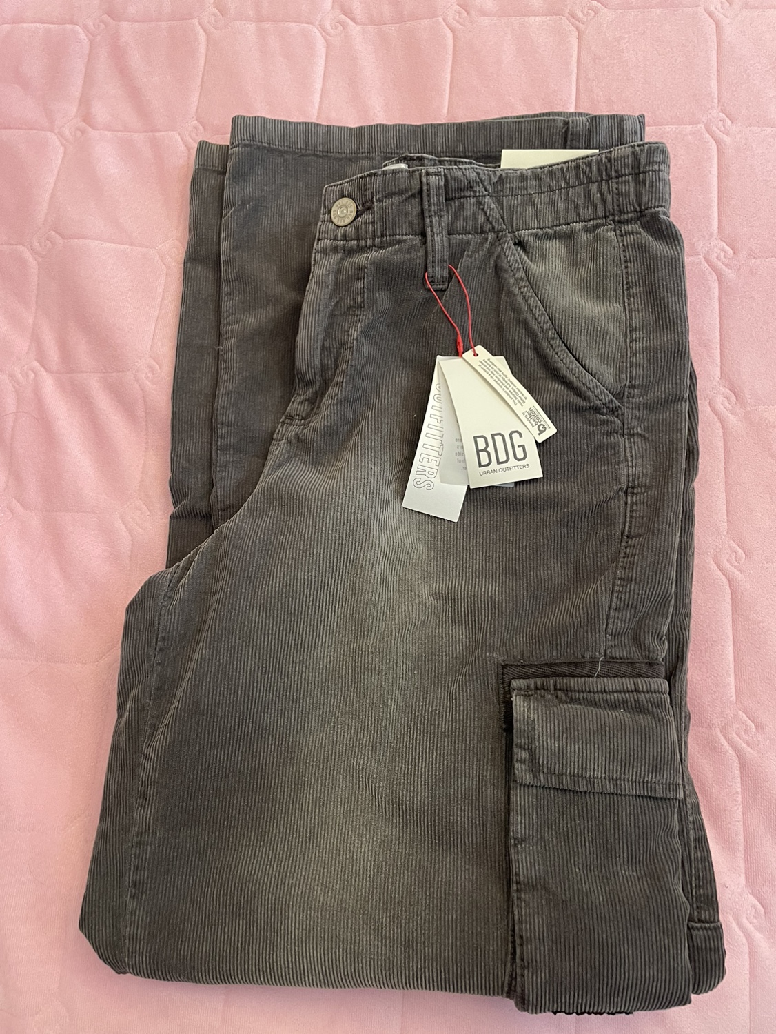 BDG Y2K cargo pants