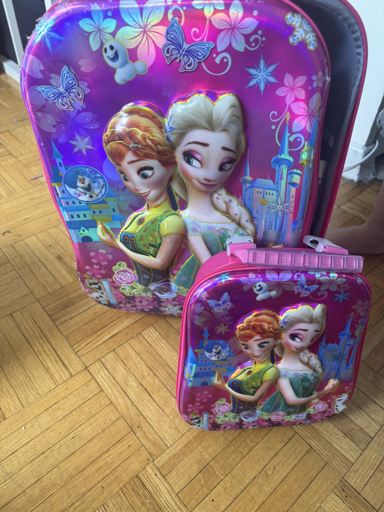Beg Elsa - photo 3