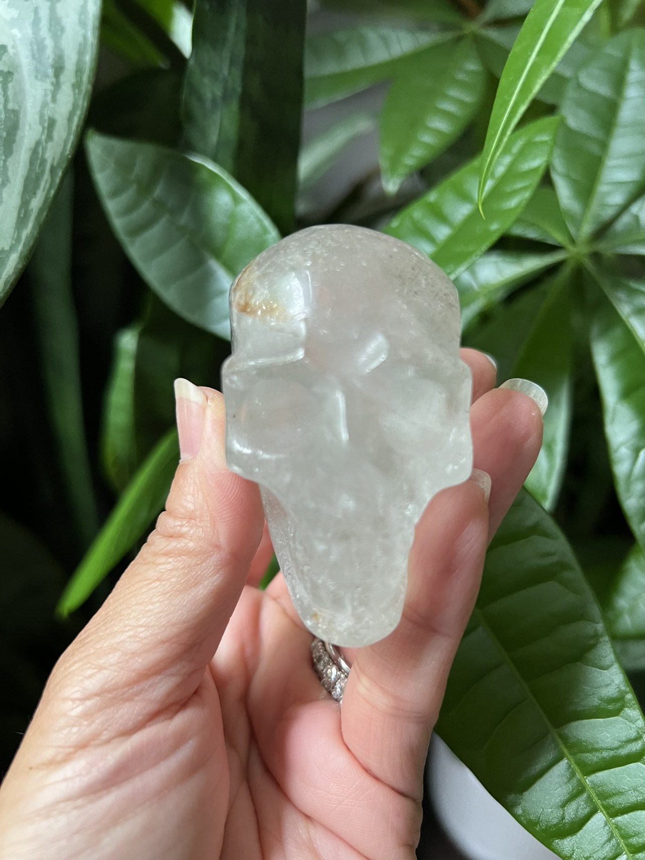 Garden quartz skull carving with minor chip (c) |  crystal