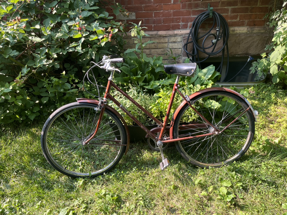 Raleigh women’s bike image indicator(2)