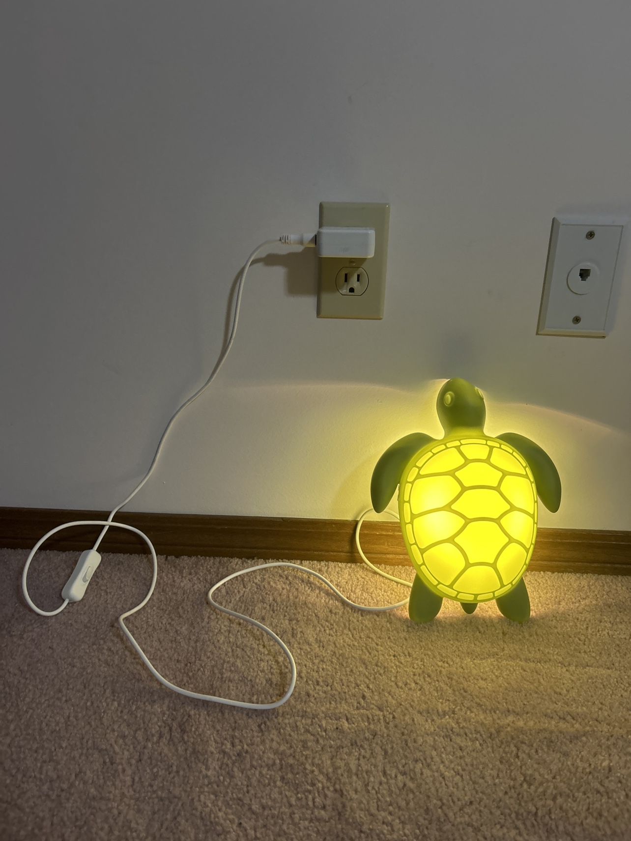 Turtle Lamp