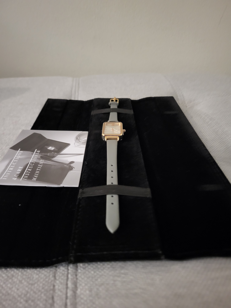 ladies carriere watch image indicator(3)