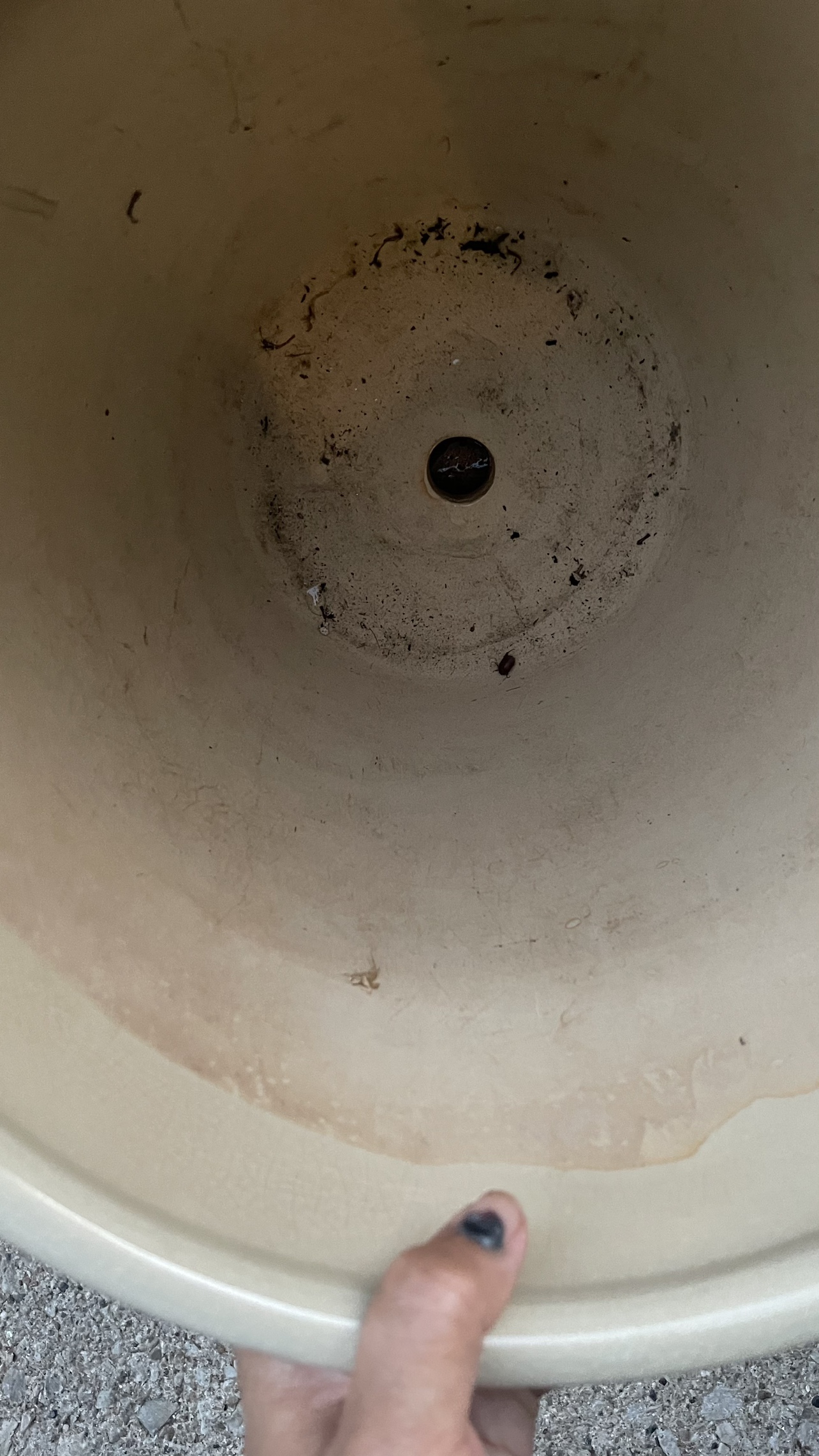 Ceramic big pot - photo 2