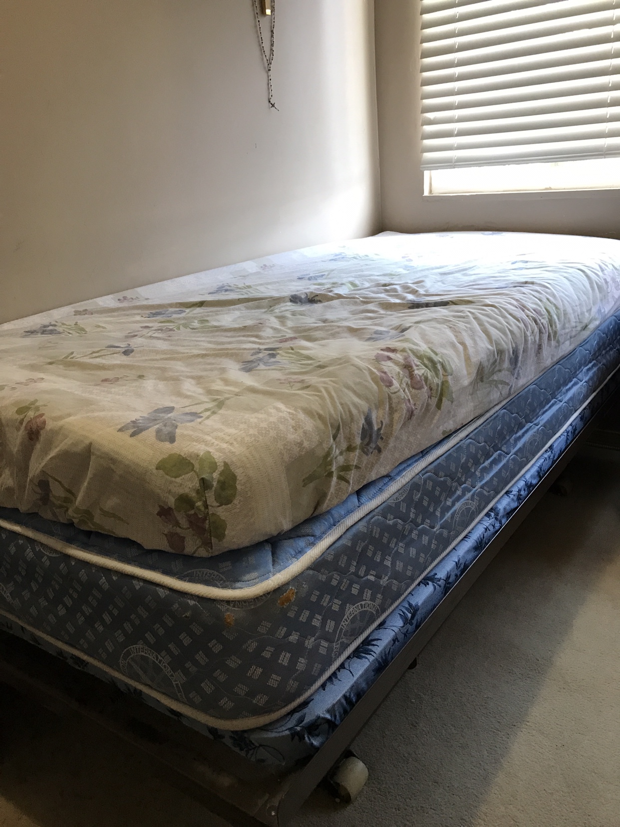 FREE Siingle/ Twin Mattress + bed frame.