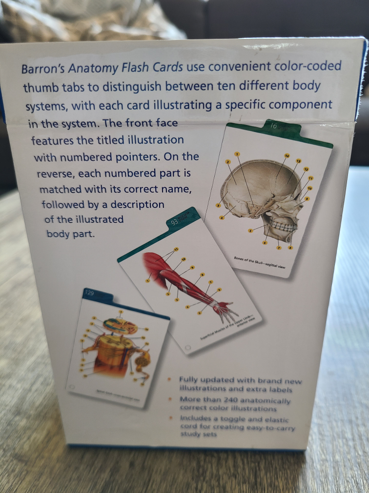anatomy flash cards - photo 3