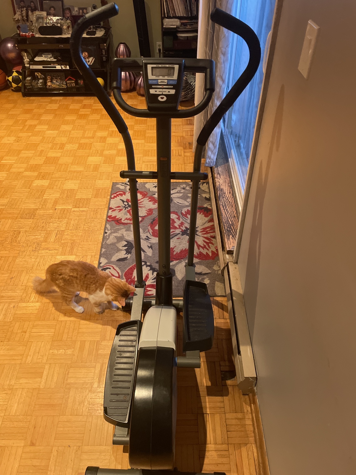 Momentum 620 exercise machine - photo 3