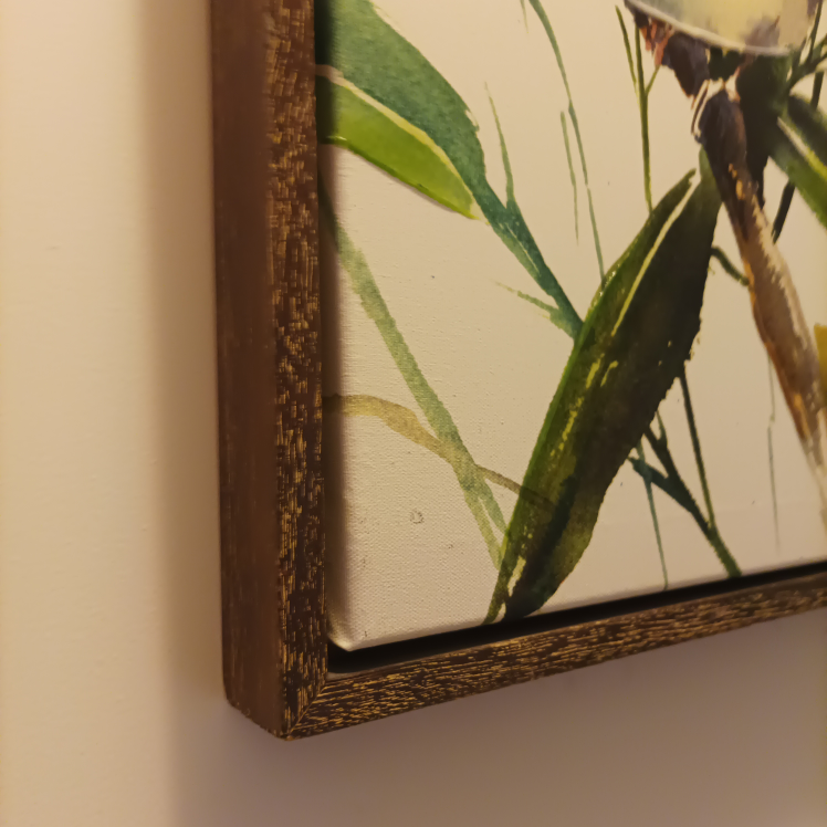 Printer on canvas image indicator(5)