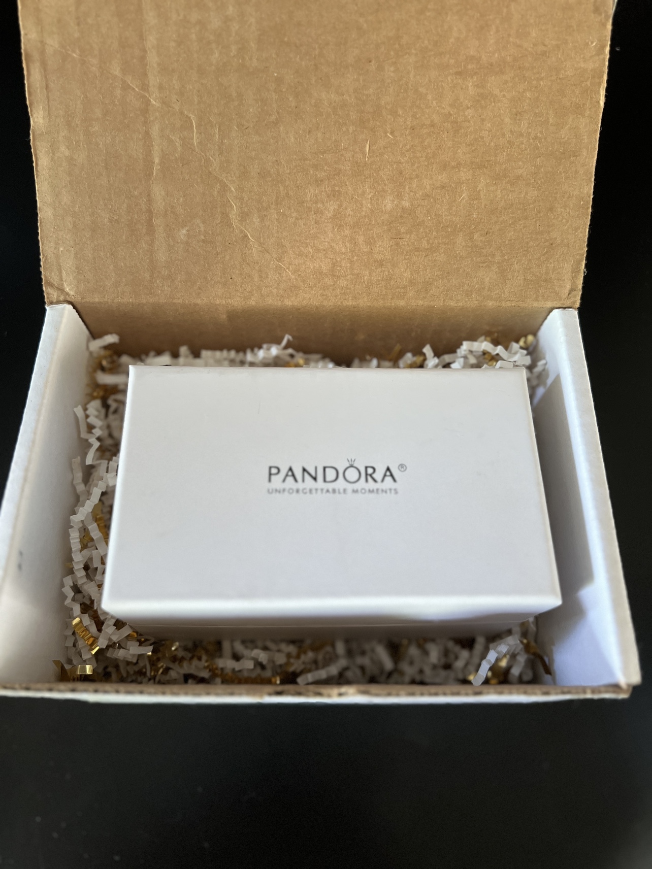 Beautiful Pandora sleigh ornament 🎄 image indicator(8)