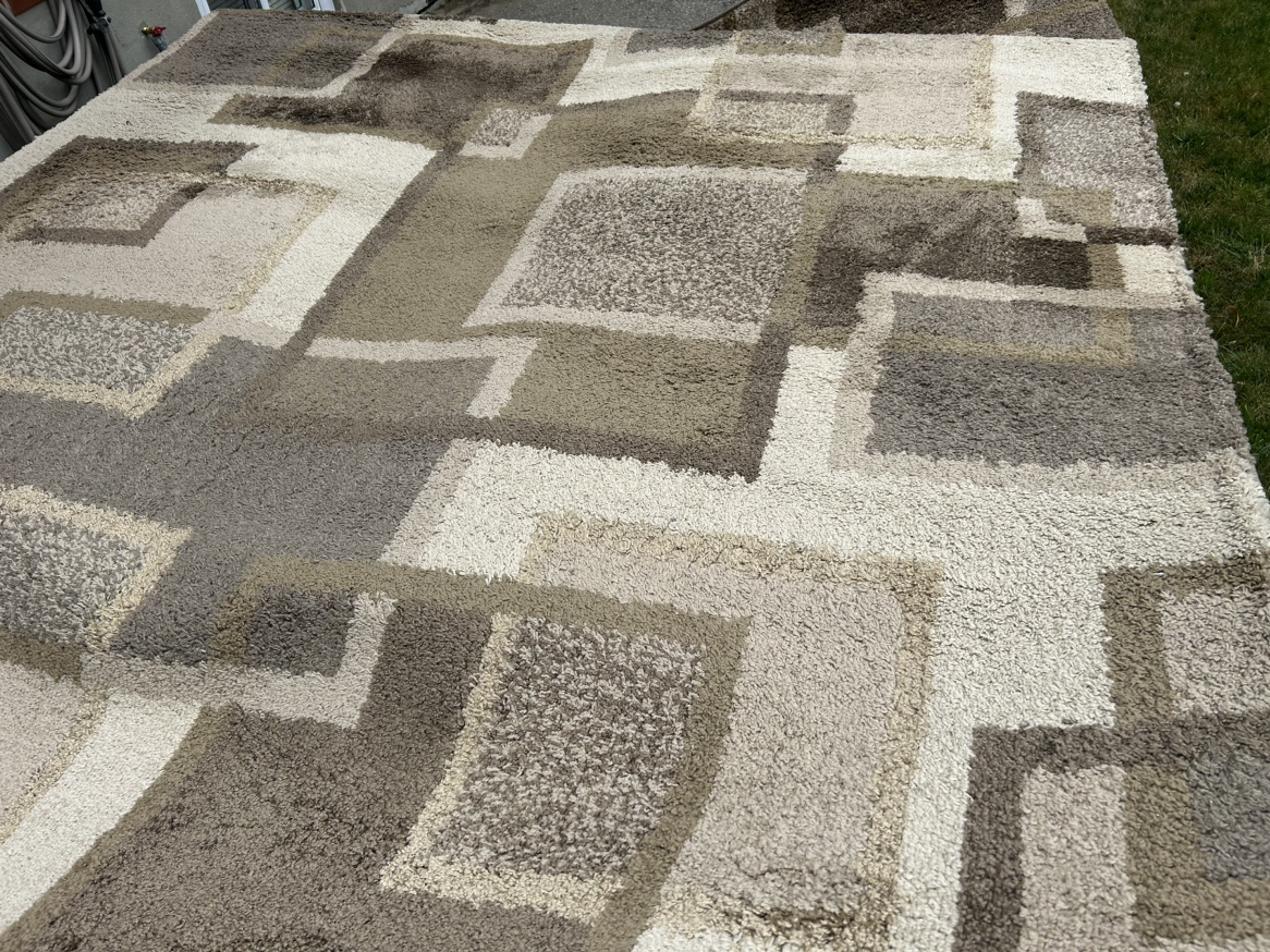 8’ x 10’ shag area rug - photo 3