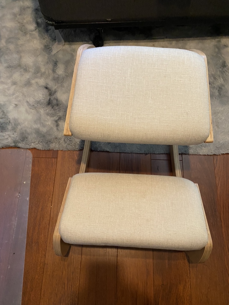 Predawn Ergonomic Kneeling Chair