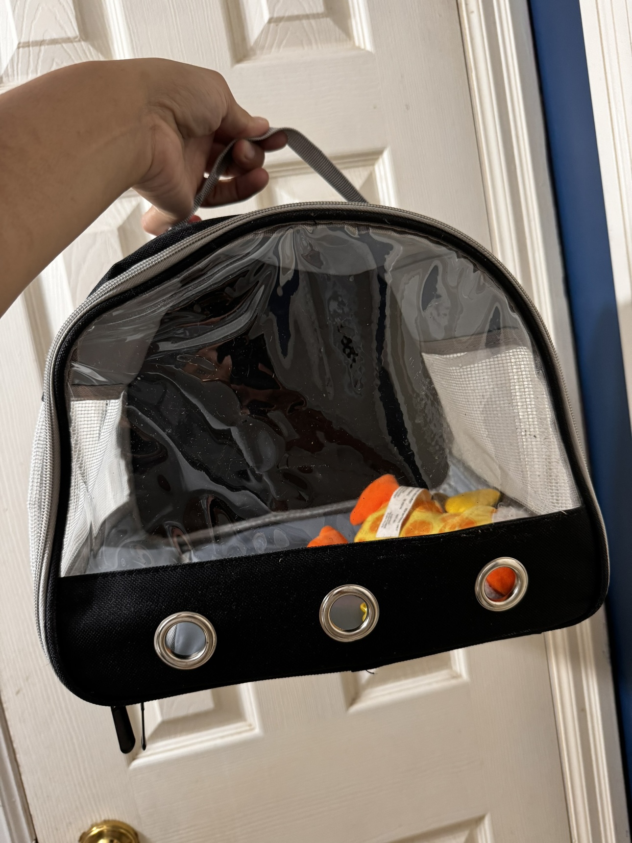 Pet bag thumbnail