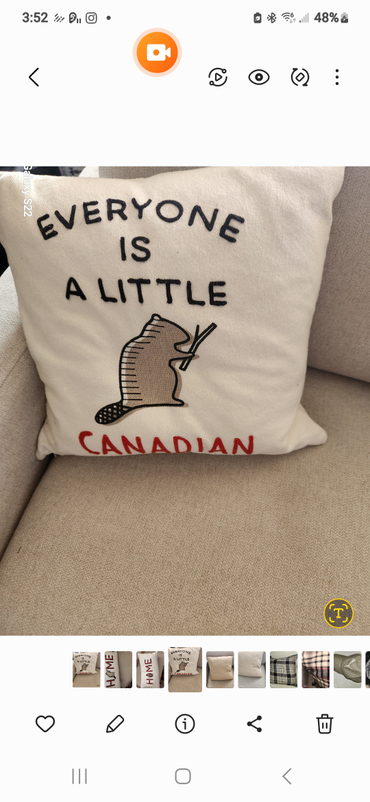 decorative pillow polyester filled