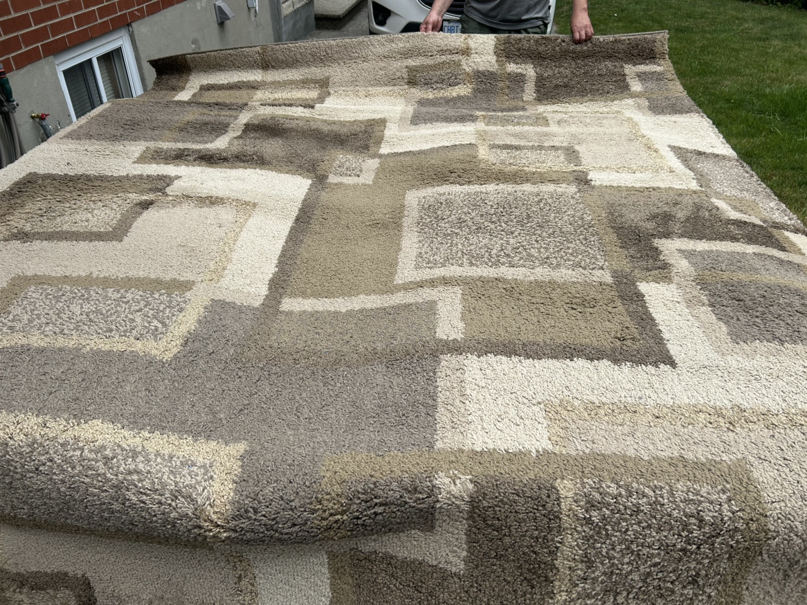 8’ x 10’ shag area rug
