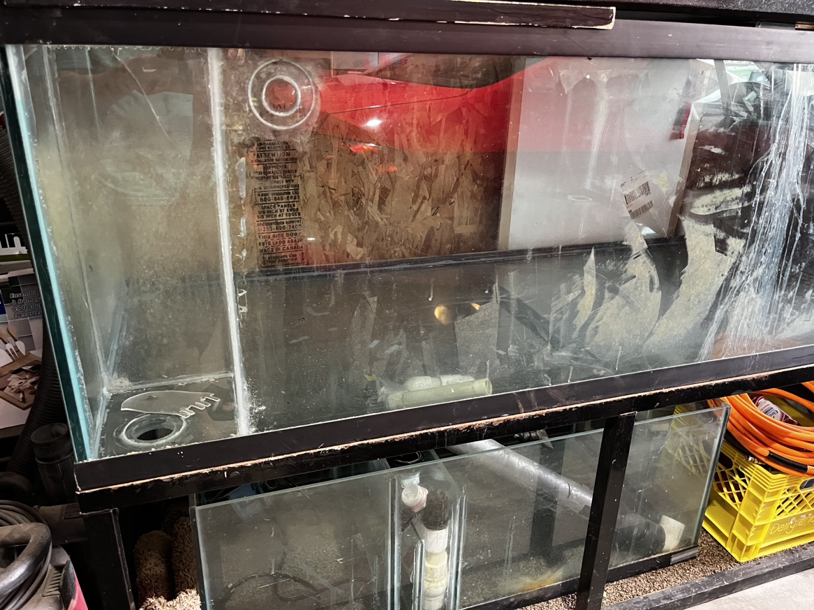 240 gallon tank with steel stand and 90g sump thumbnail