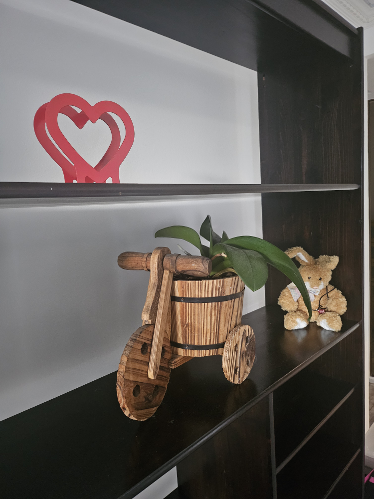 Unique Bookshelf with Drawers image indicator(3)