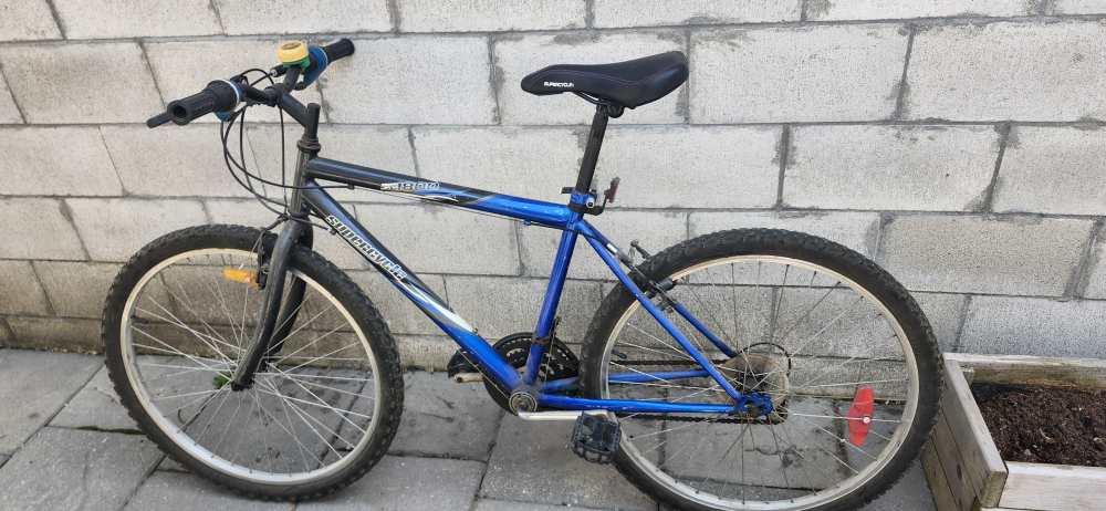 Adult Supercycle Bike